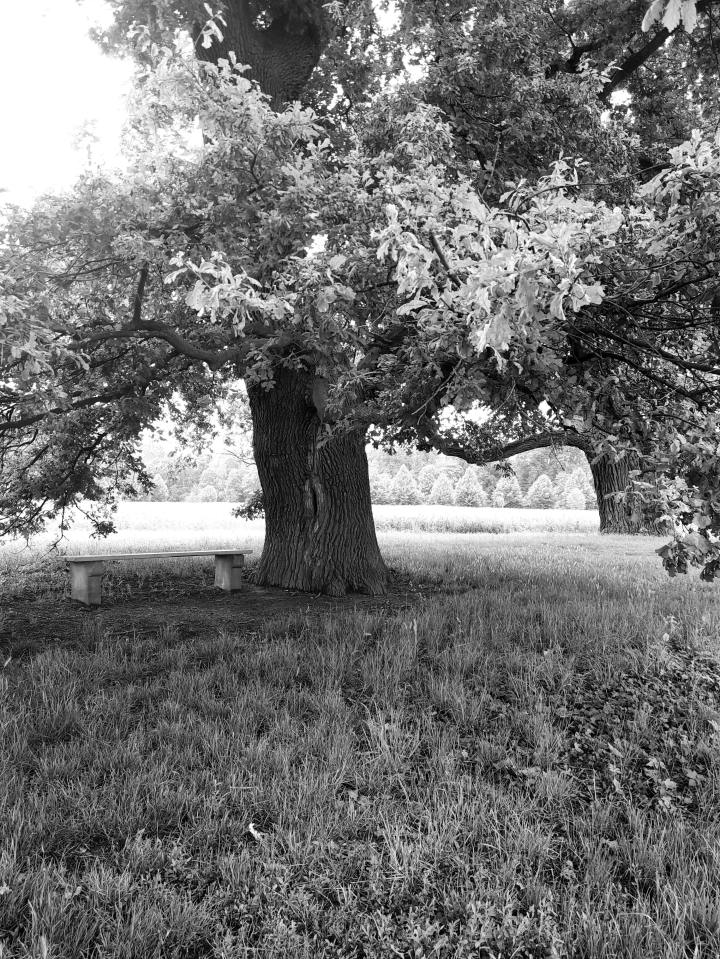 Of Timeless Whispers and Borrowed&nbsp;Strength